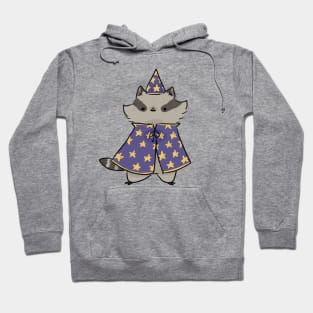 Raccoon Wizard Hoodie